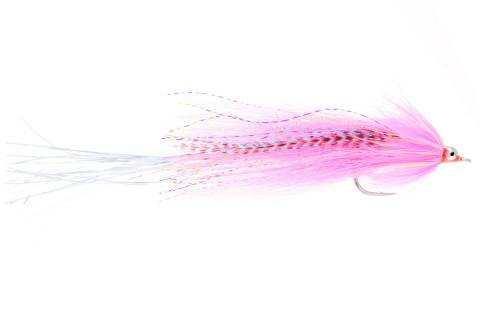 Flashtail Whistler - Pink